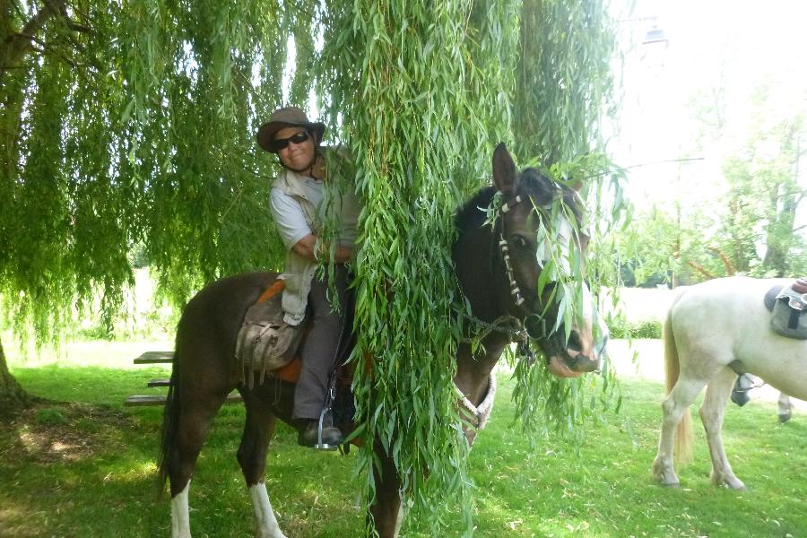 rando Randonne questre Sane-et-Loire