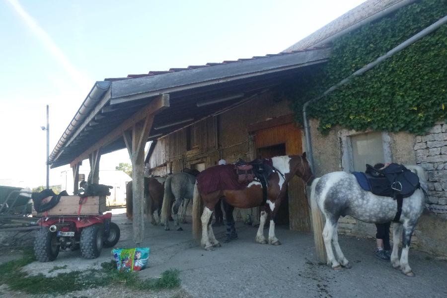 Randonn�e �questre   photo 2