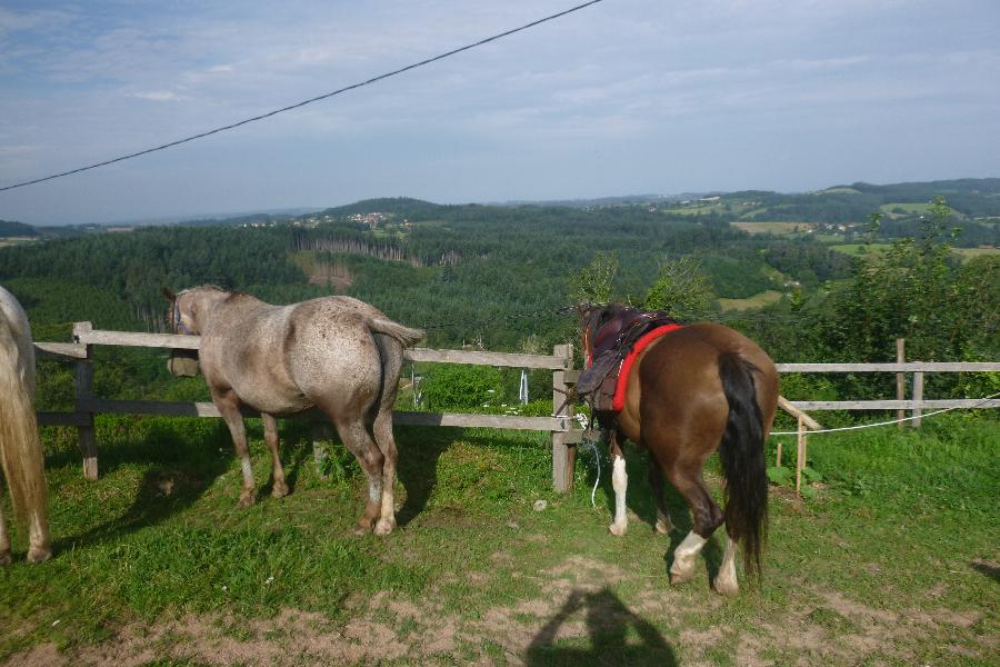 Sjour questre Sane-et-Loire Bourgogne du Sud photo 5