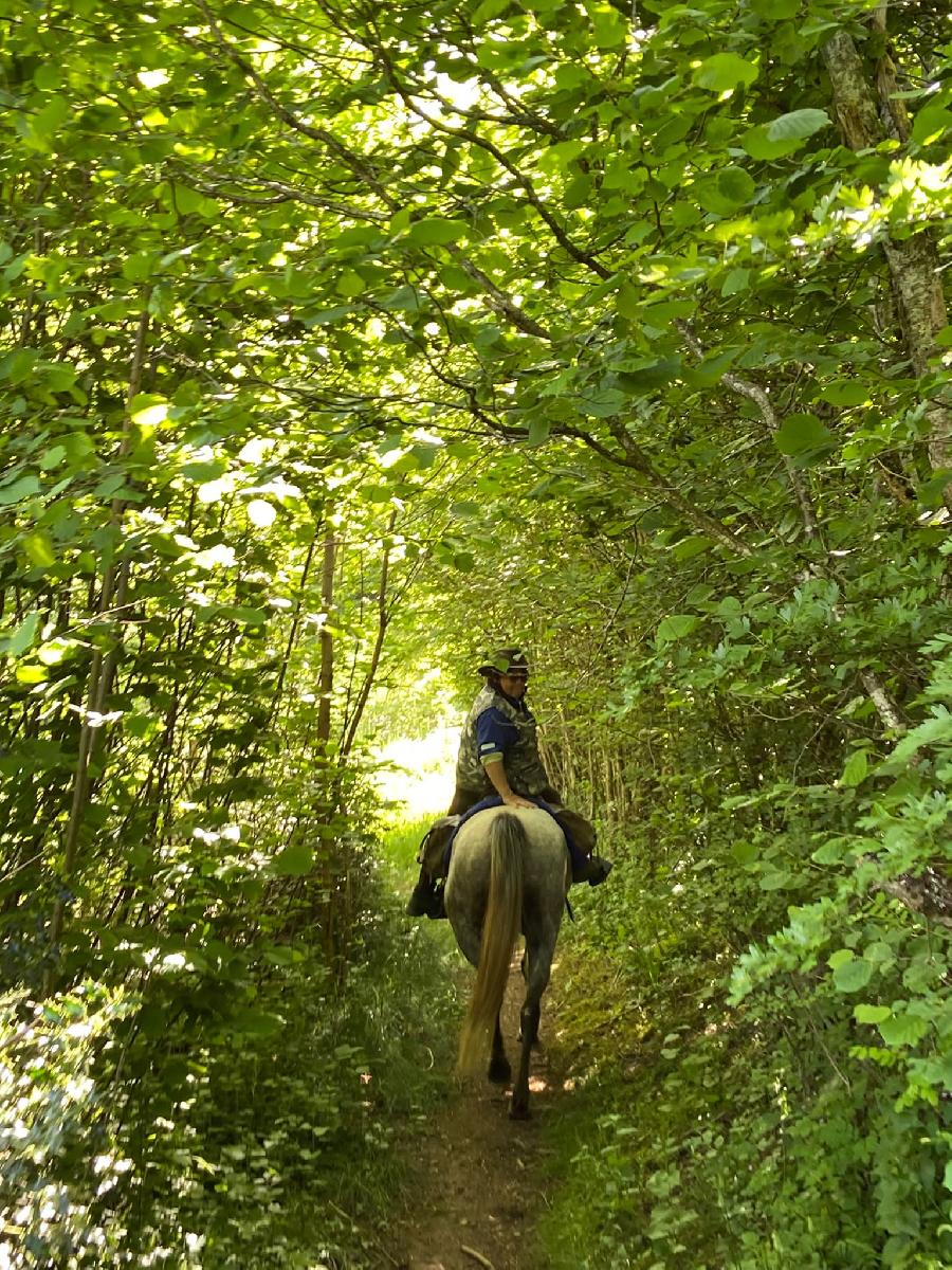 rando Randonne questre Sane-et-Loire