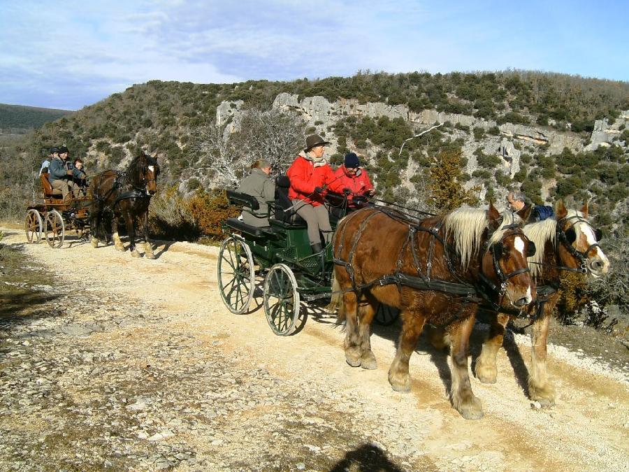 Sjour questre   photo 2