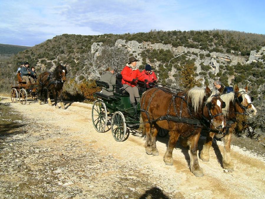 Randonne questre Alpes de Haute-Provence  photo 2