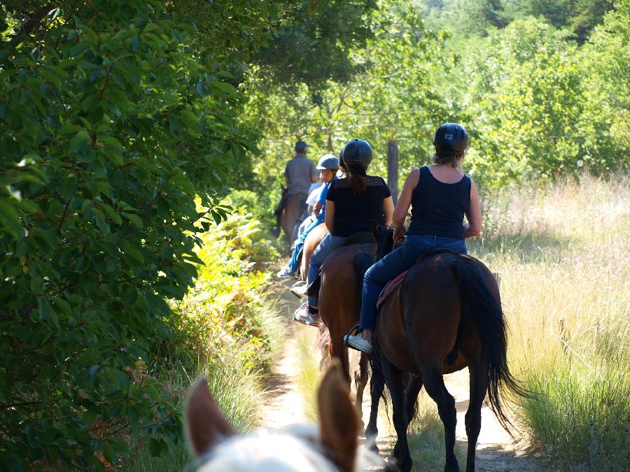 Balade  cheval Alpes de Haute-Provence  photo 2