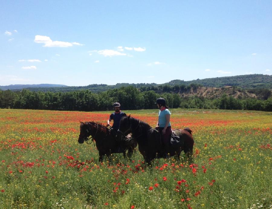 Randonne questre Alpes de Haute-Provence  photo 3