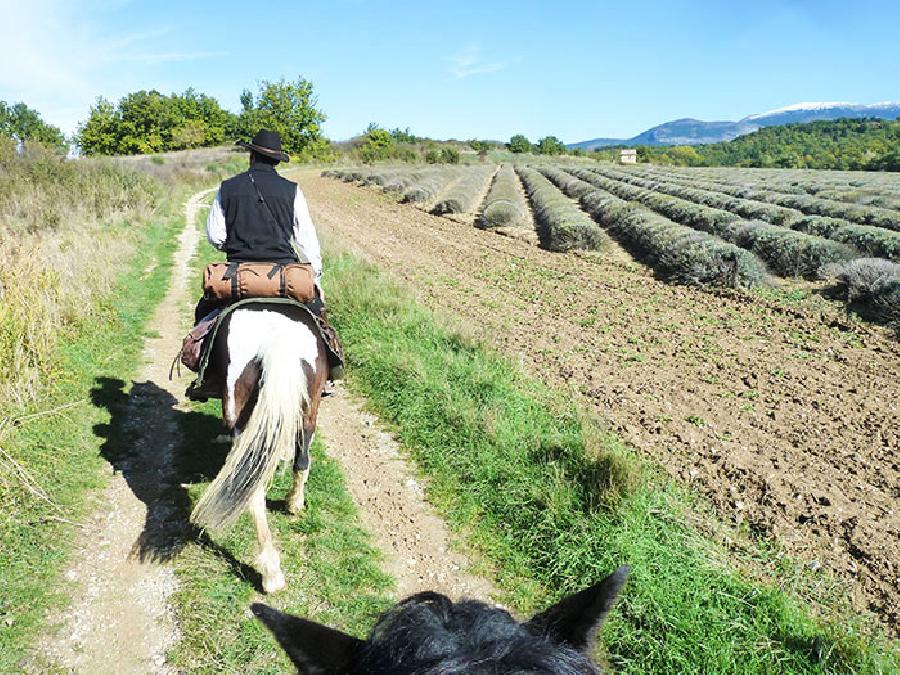 sejour Alpes de Haute-Provence 