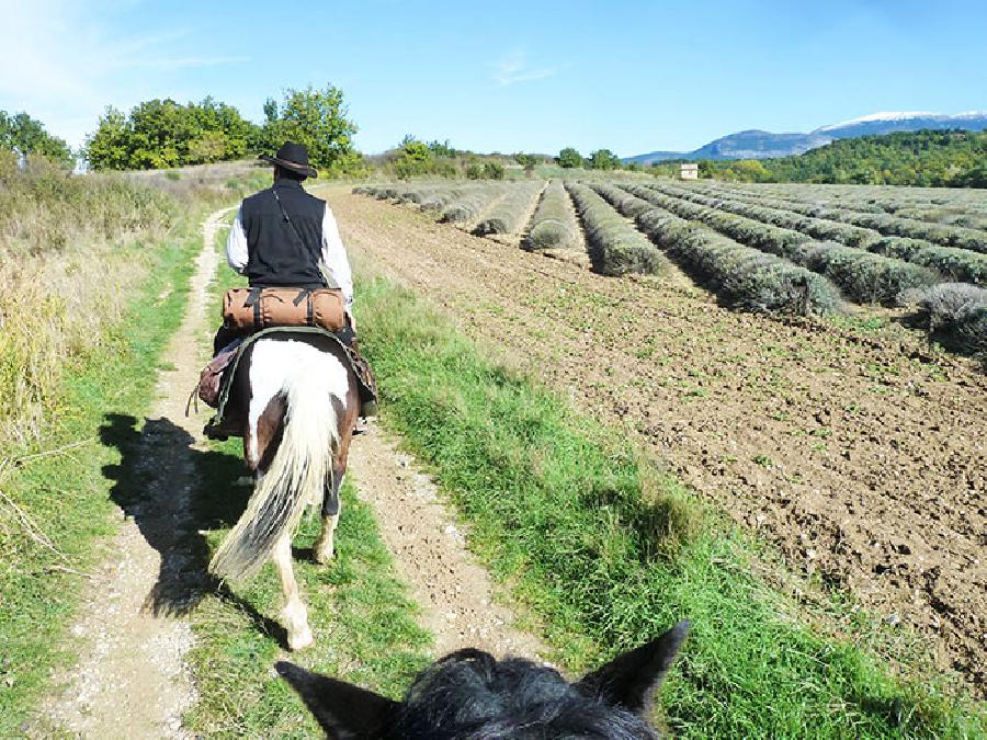 Randonne questre Alpes de Haute-Provence 