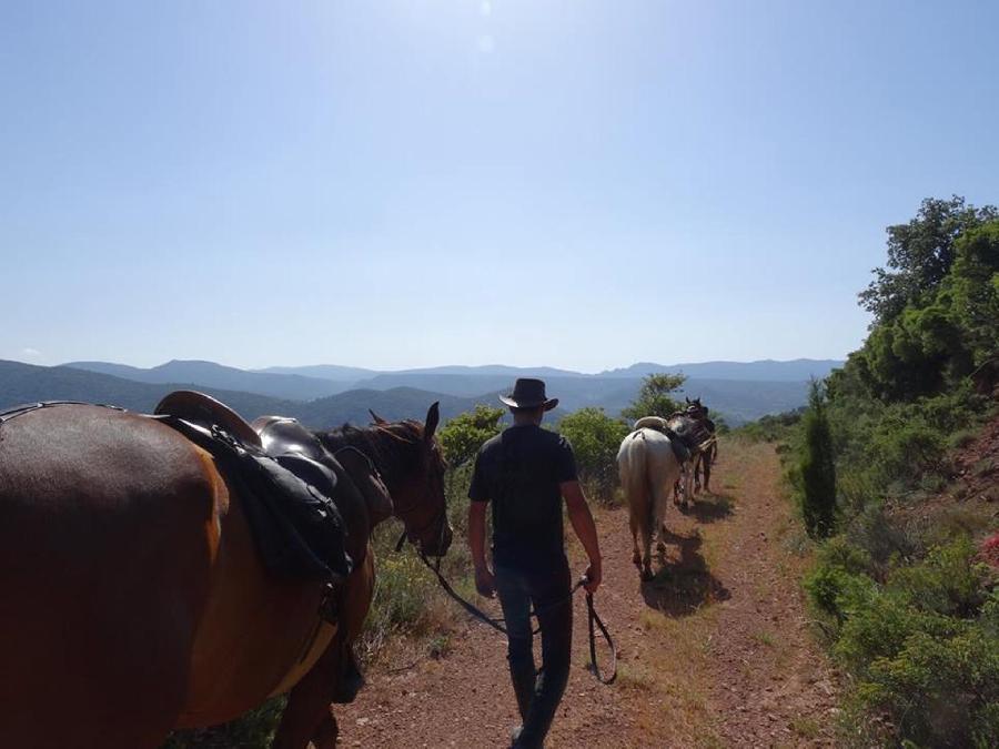 Randonne questre Alpes de Haute-Provence Luberon