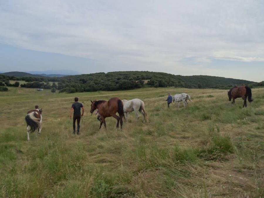 Sjour questre Alpes de Haute-Provence Luberon photo 4