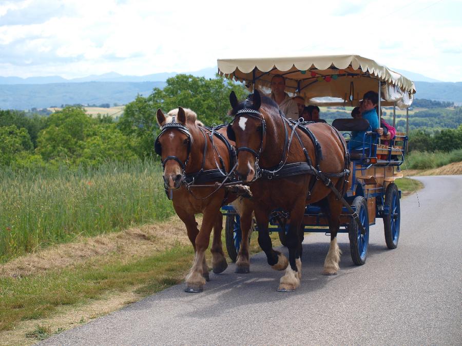 Balade  cheval Alpes de Haute-Provence 