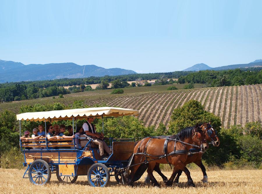 Randonne questre Alpes de Haute-Provence  photo 2