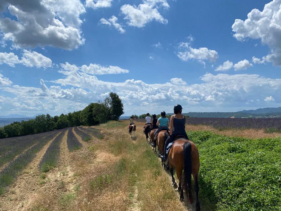 Balade  cheval Alpes de Haute-Provence  photo 6