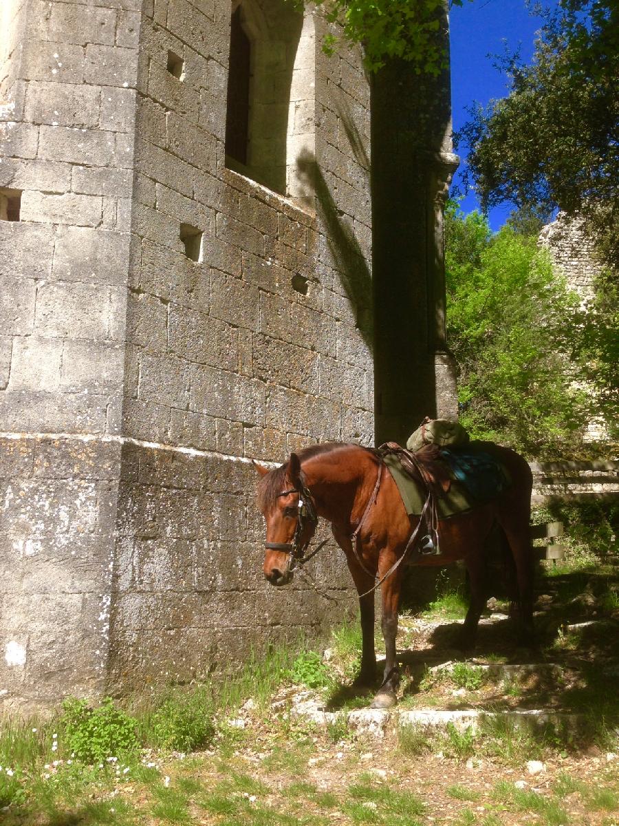 Séjour équestre Alpes de Haute-Provence Provence photo 2