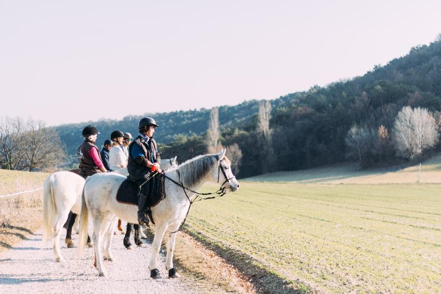 Balade  cheval Alpes de Haute-Provence Provence photo 3