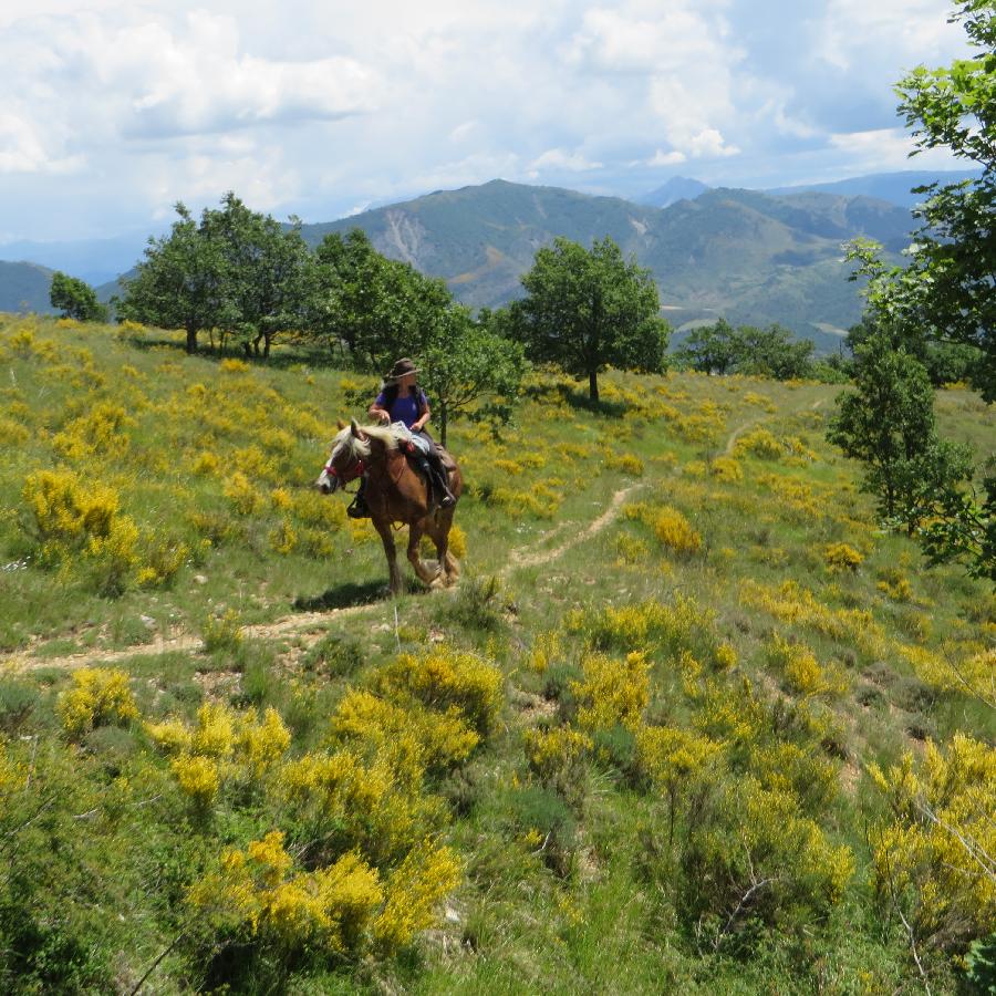 Sjour questre Alpes de Haute-Provence Provence