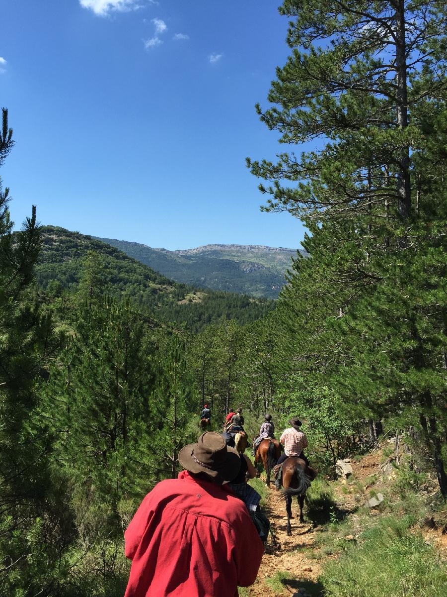 Sjour questre Alpes de Haute-Provence Provence photo 2