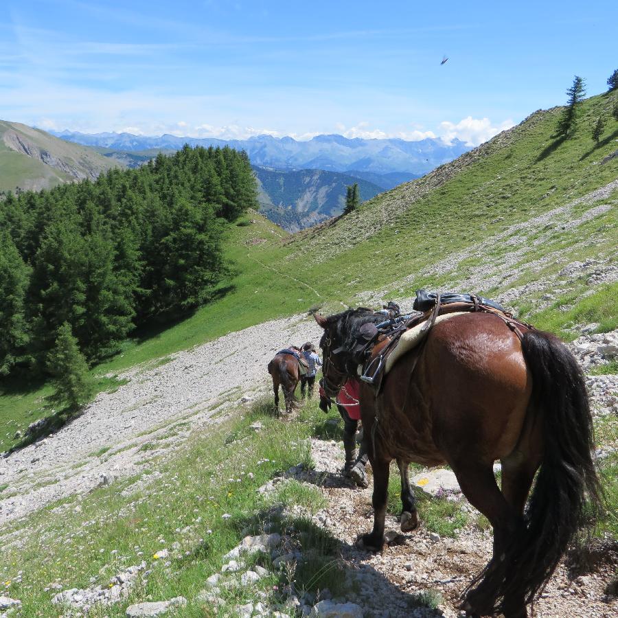 sejour Alpes de Haute-Provence Provence photo 5