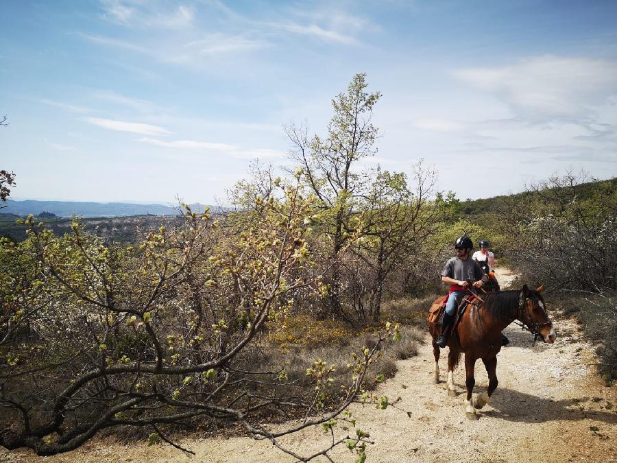 rando Balade  cheval Alpes de Haute-Provence