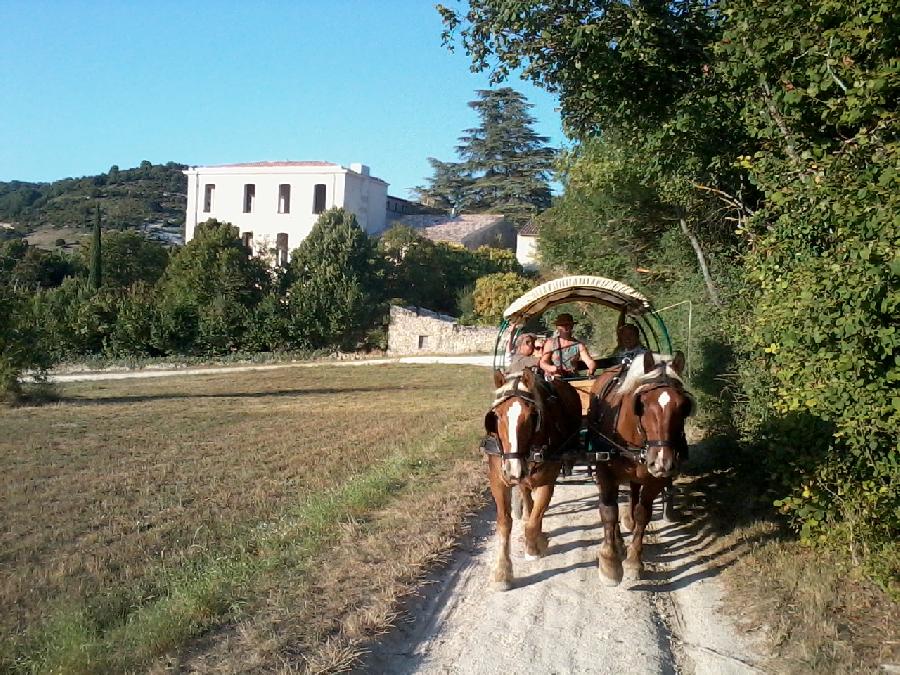 rando Attelage / promenade Alpes de Haute-Provence
