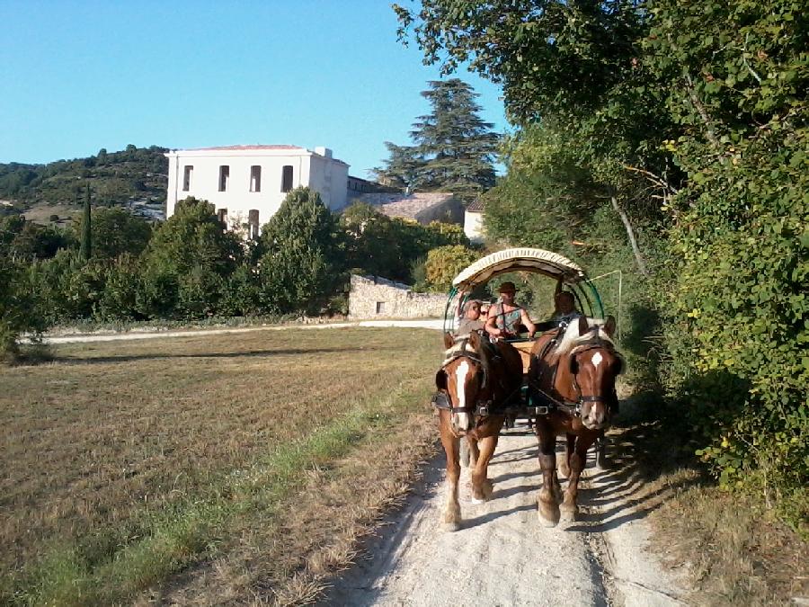 sejour Alpes de Haute-Provence 