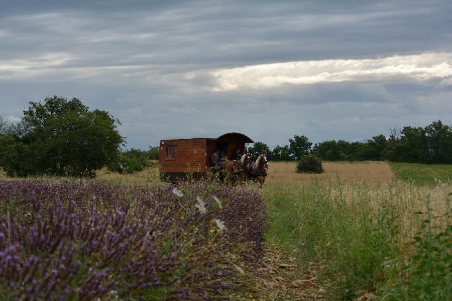 sejour Alpes de Haute-Provence  photo 4