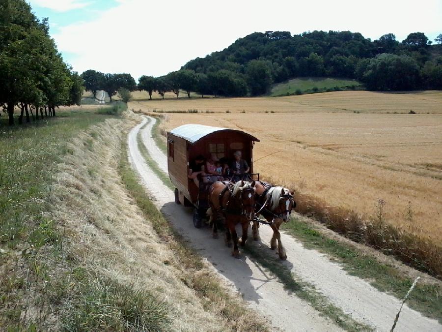 Sjour questre Alpes de Haute-Provence  photo 5