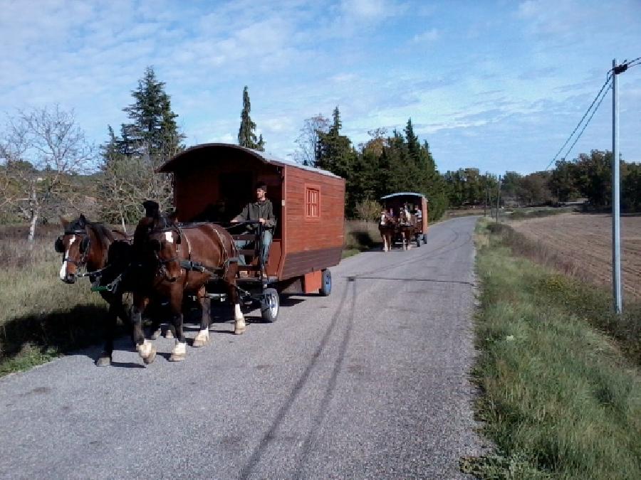 Sjour questre Alpes de Haute-Provence  photo 6