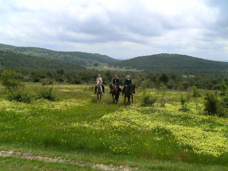 Randonne questre Alpes de Haute-Provence Provence photo 2