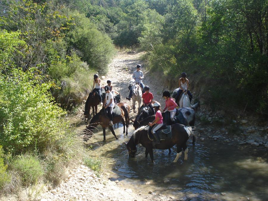 Randonne questre Alpes de Haute-Provence Provence photo 3