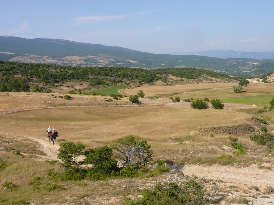 Randonne questre Alpes de Haute-Provence Provence photo 4