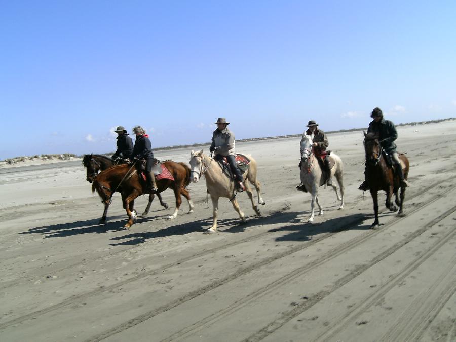 Randonne questre Bouches-du-Rhne Camargue