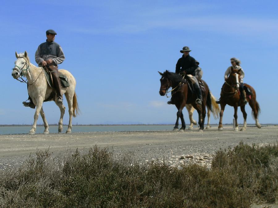 sejour Bouches-du-Rhne Camargue photo 2