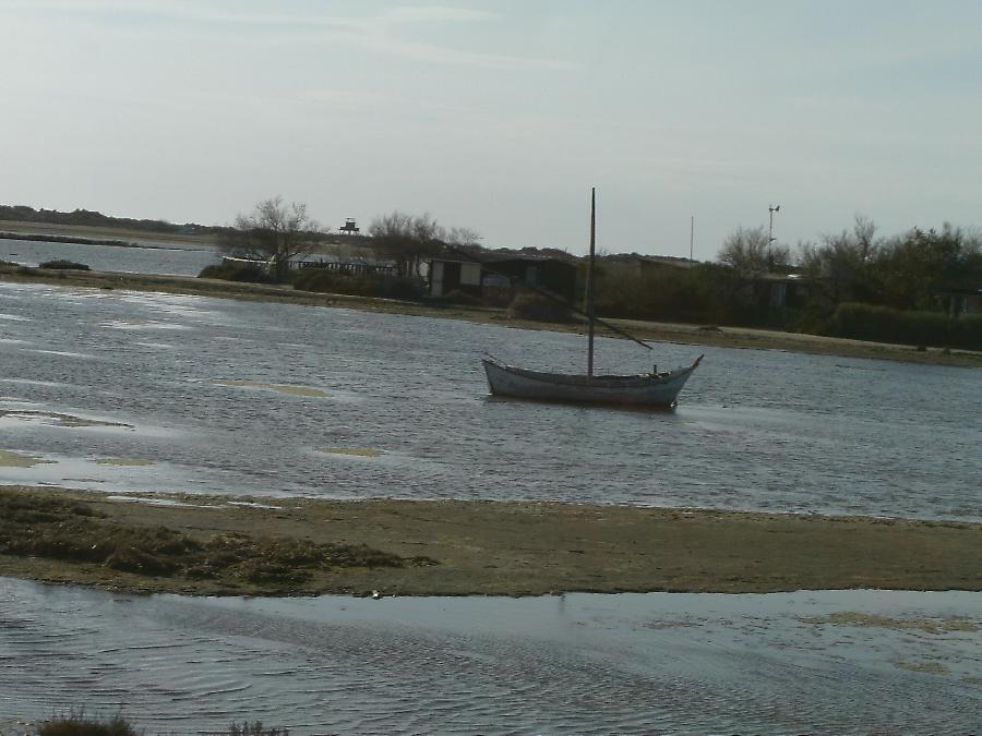 Sjour questre Bouches-du-Rhne Camargue photo 3