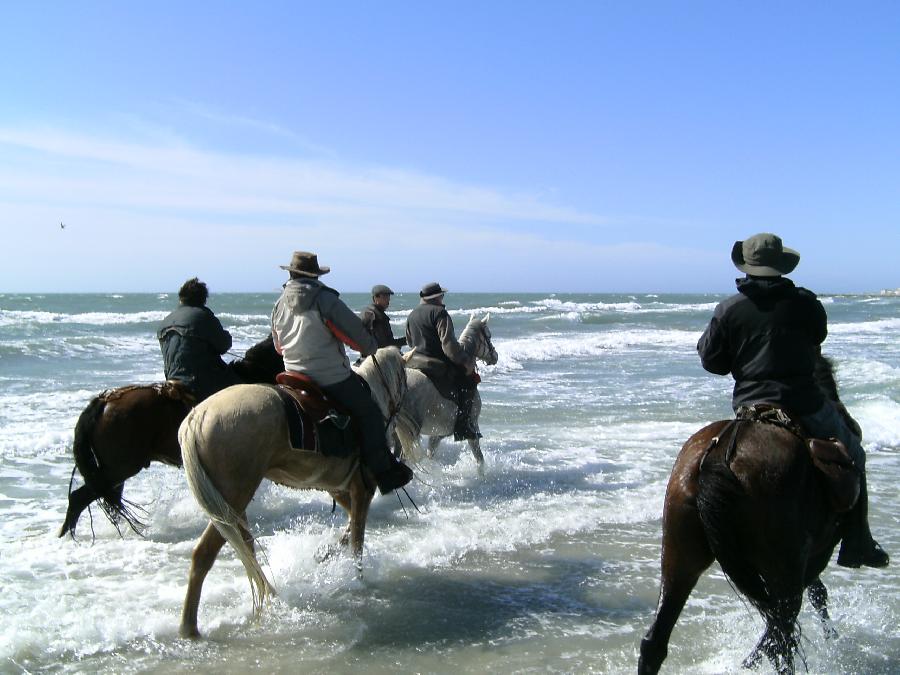 sejour Bouches-du-Rhne Camargue photo 4