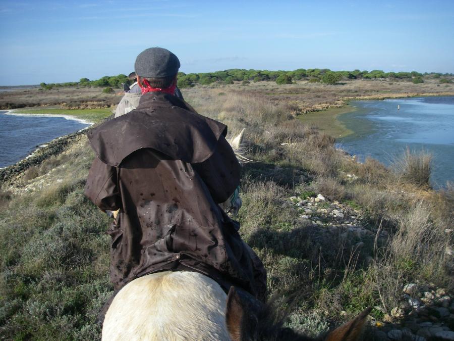 Randonne questre Bouches-du-Rhne Camargue photo 5