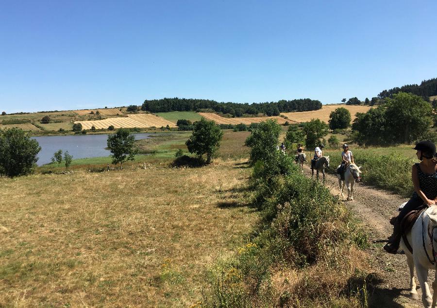 Randonne questre Haute-Loire Massif Central photo 4