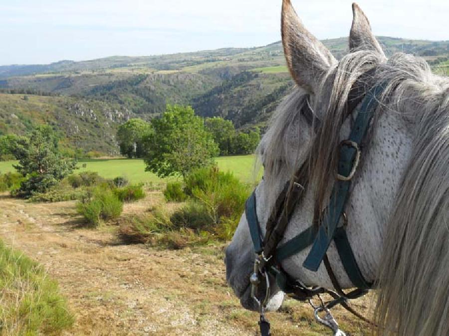 rando Balade  cheval Haute-Loire