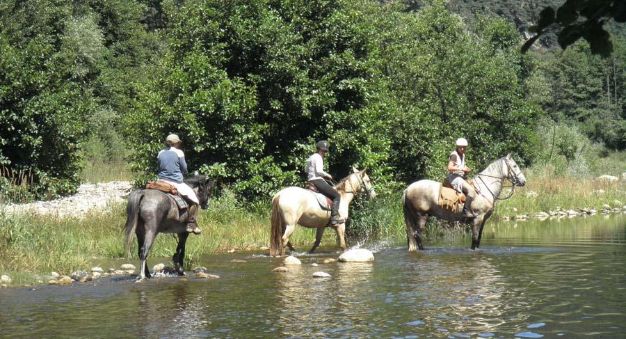 sejour Sjour  la ferme questre Haute-Loire