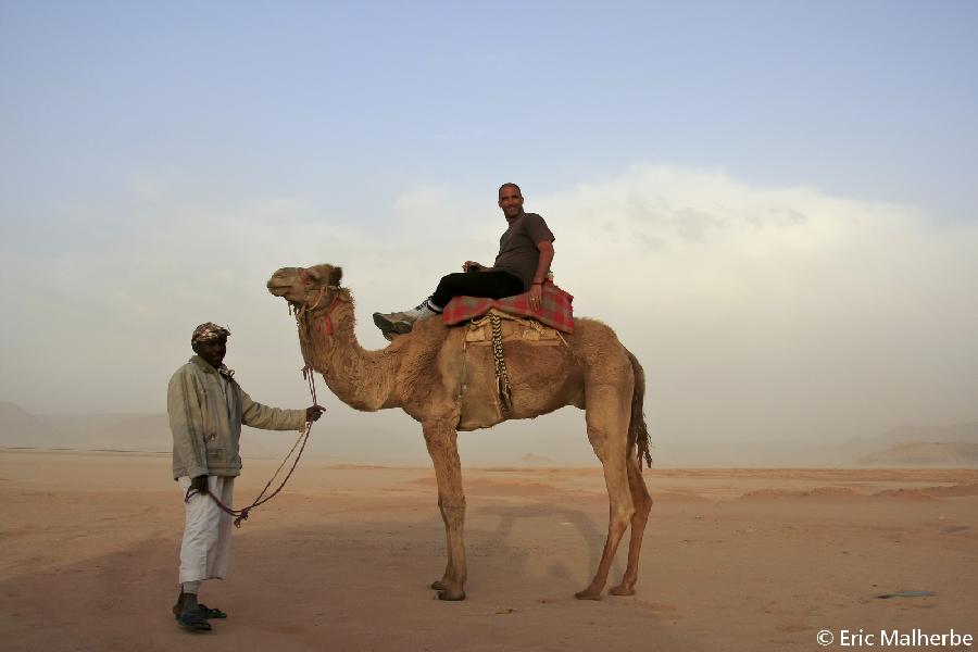 Voyage  cheval JORDANIE  photo 2