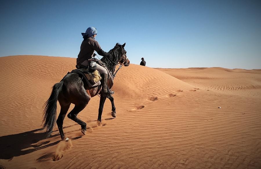 Randonne questre MAROC  photo 1