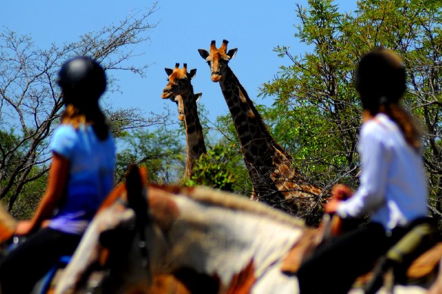 Voyage  cheval AFRIQUE DU SUD 