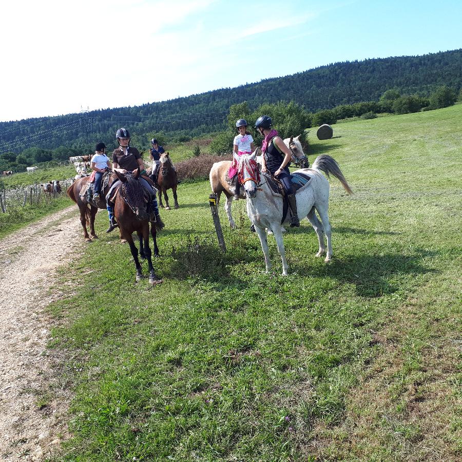 Randonn�e �questre   photo 3