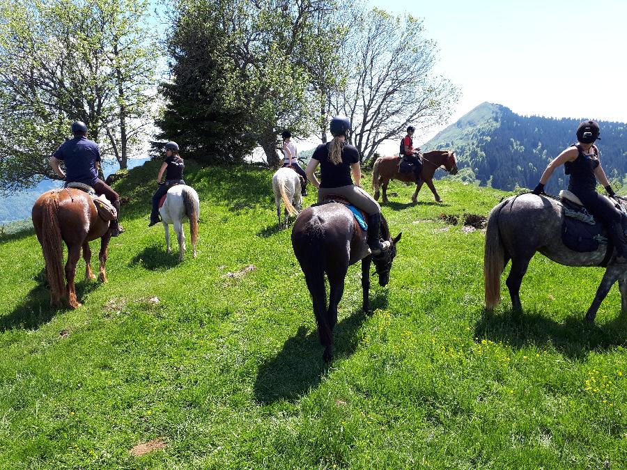 Randonne questre Jura PNR du Haut-Jura