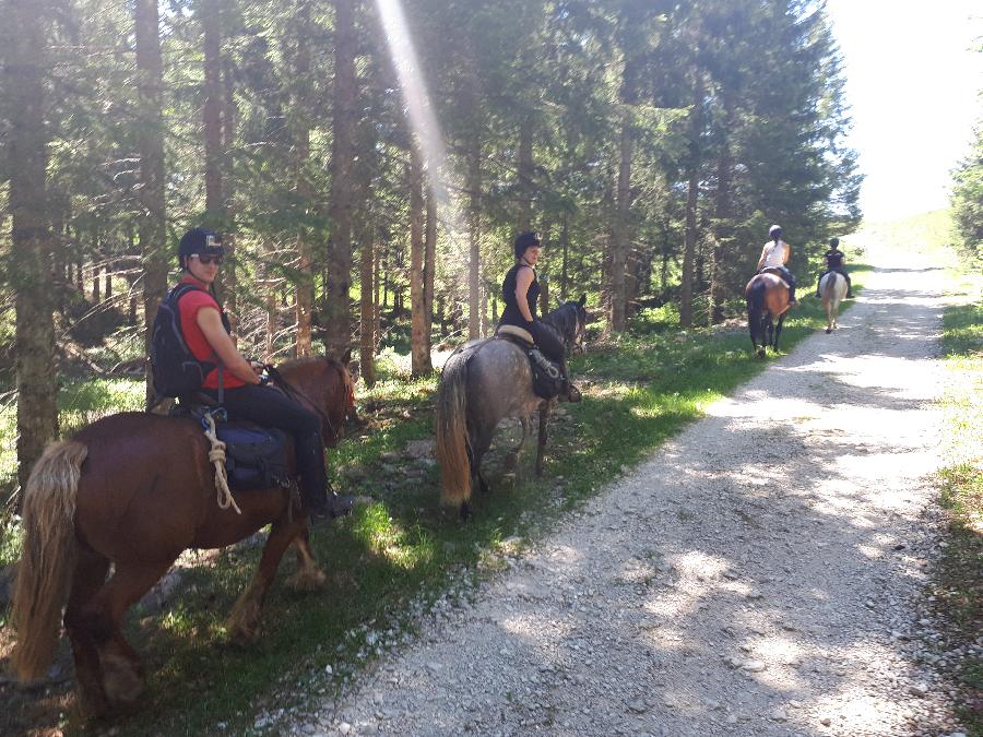 Balade  cheval Jura PNR du Haut-Jura photo 2