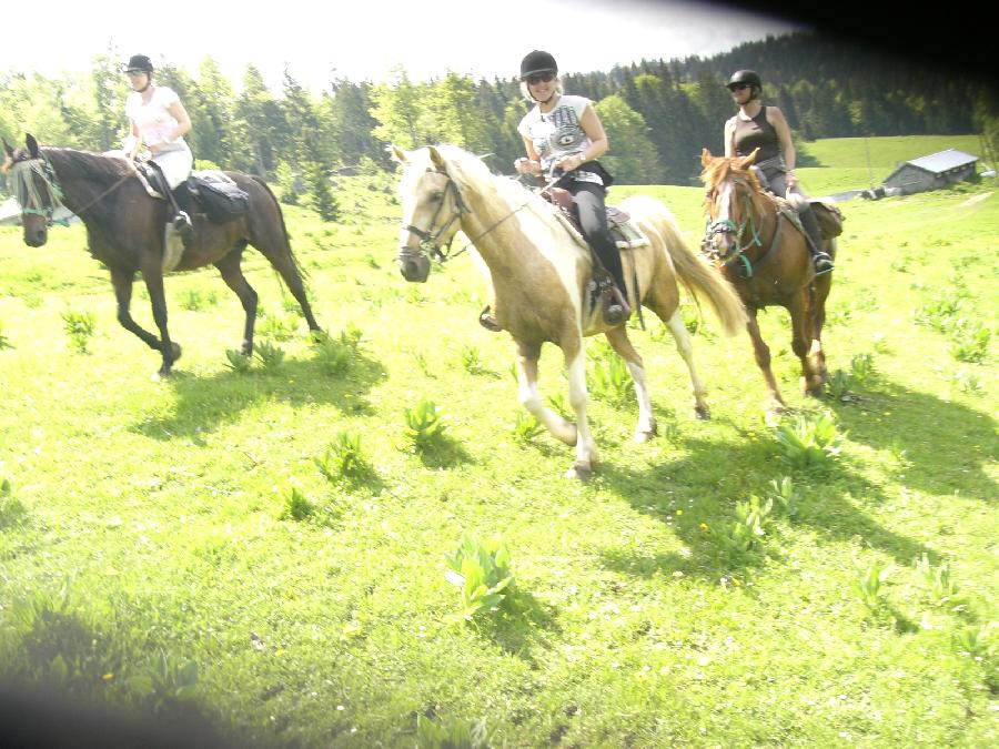 Balade  cheval Jura PNR du Haut-Jura photo 5