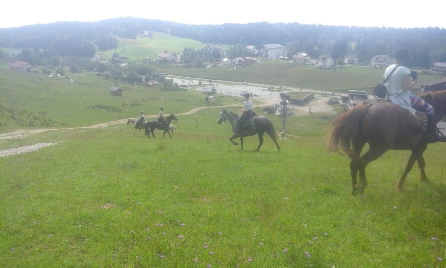 sejour Jura PNR du Haut-Jura photo 2