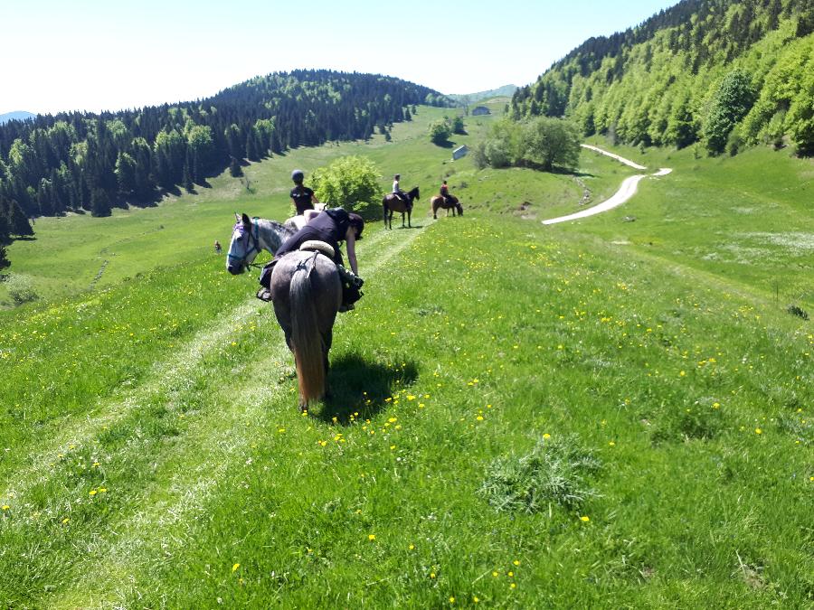 Randonne questre Jura PNR du Haut-Jura