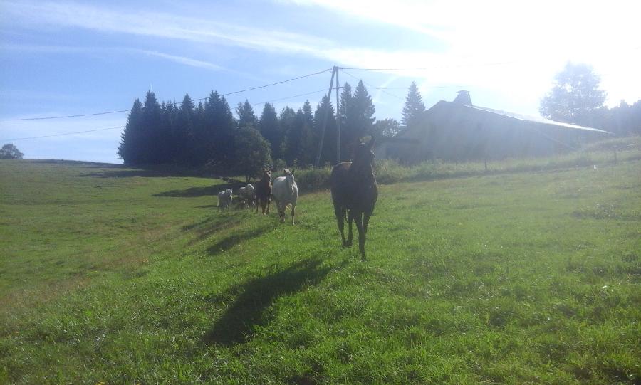 sejour Jura PNR du Haut-Jura photo 6