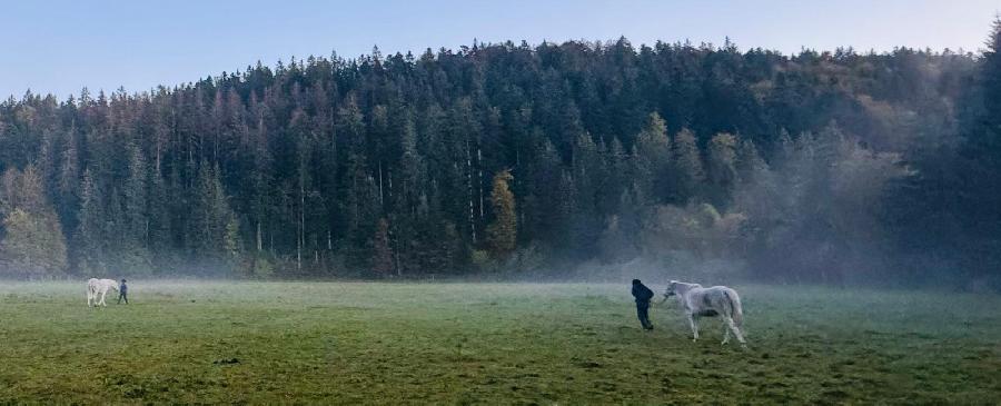 sejour Sjour  la ferme questre Jura