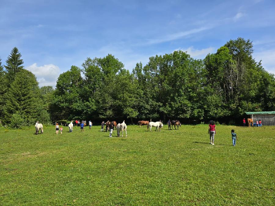 sejour Sjour  la ferme questre Jura