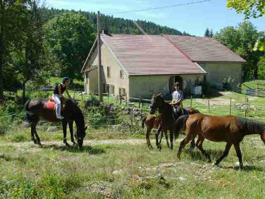 Randonne questre Jura PNR du Haut-Jura photo 2